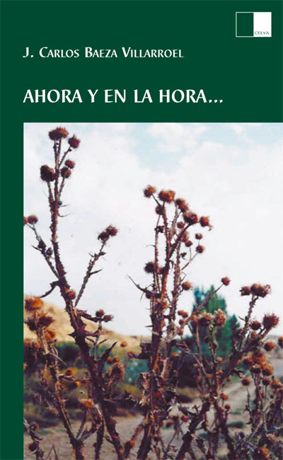 AHORA Y EN LA HORA... de J. CARLOS BAEZA VILLARROEL. Haga clic para ver m&aacute;s detalles